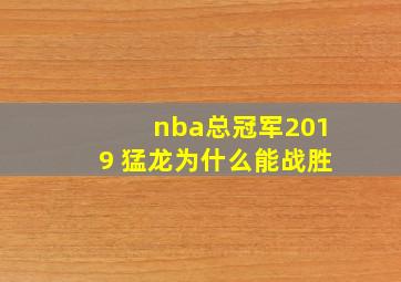 nba总冠军2019 猛龙为什么能战胜